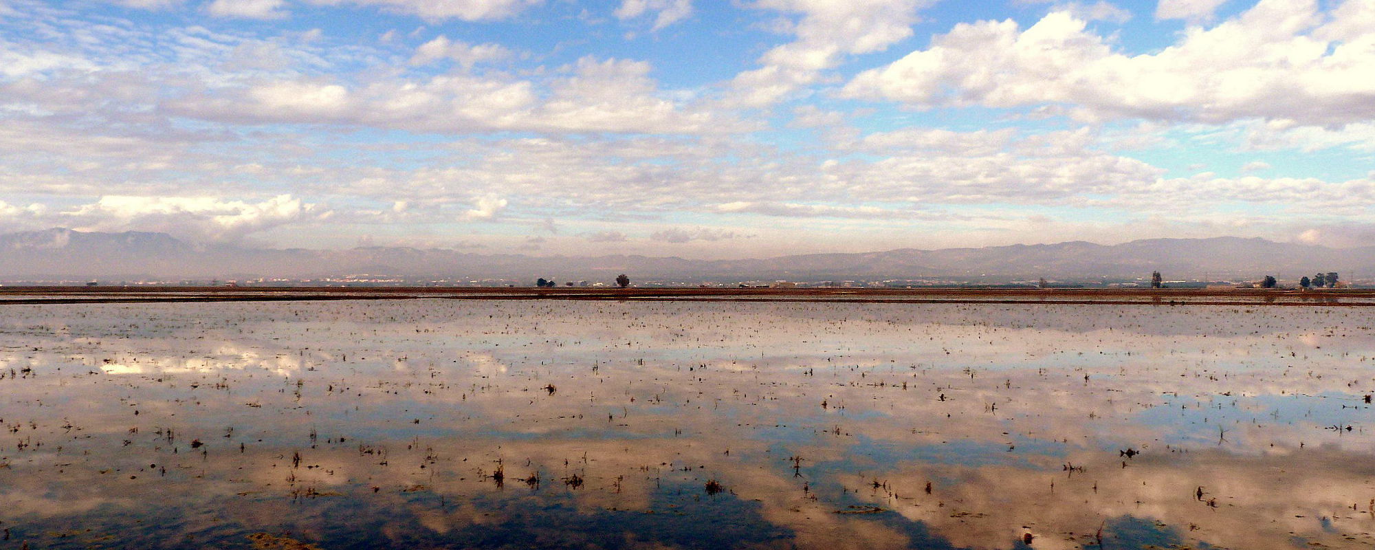 El Baix Ebre