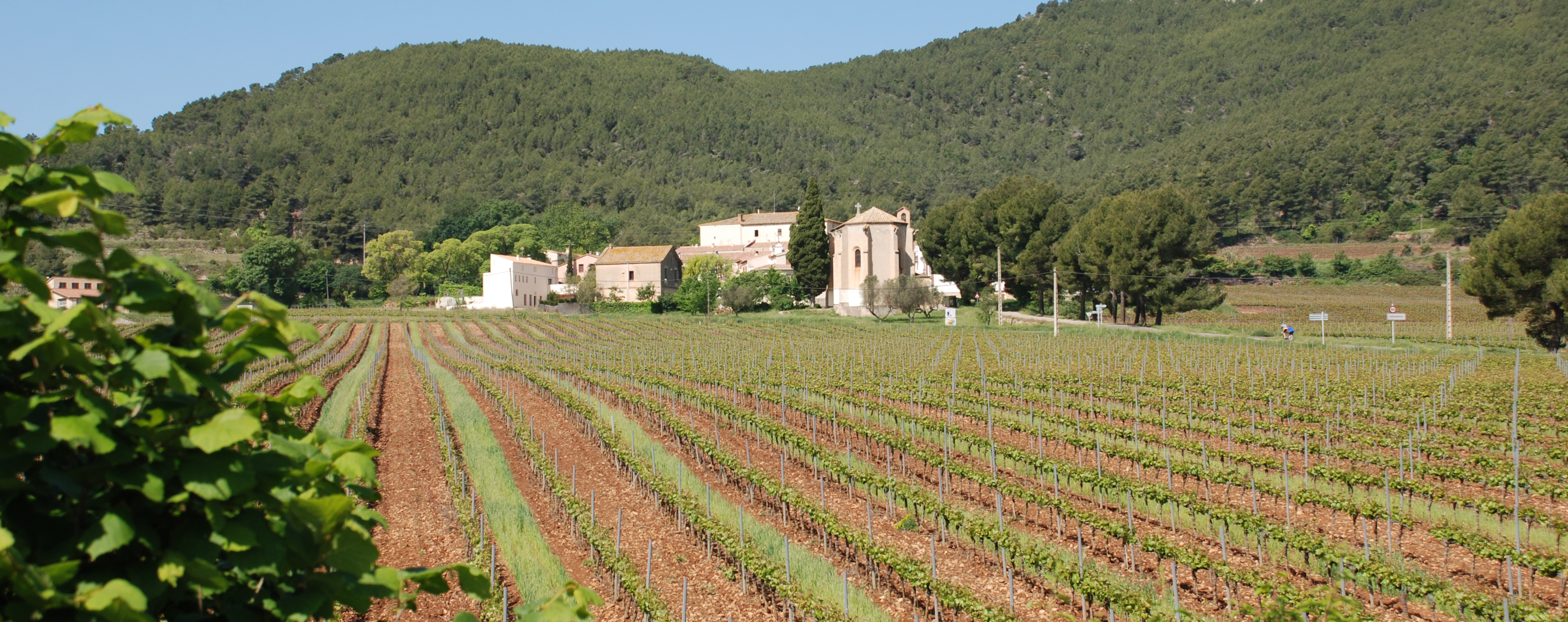 El Baix Penedès