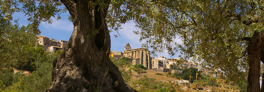 Horta de Sant Joan