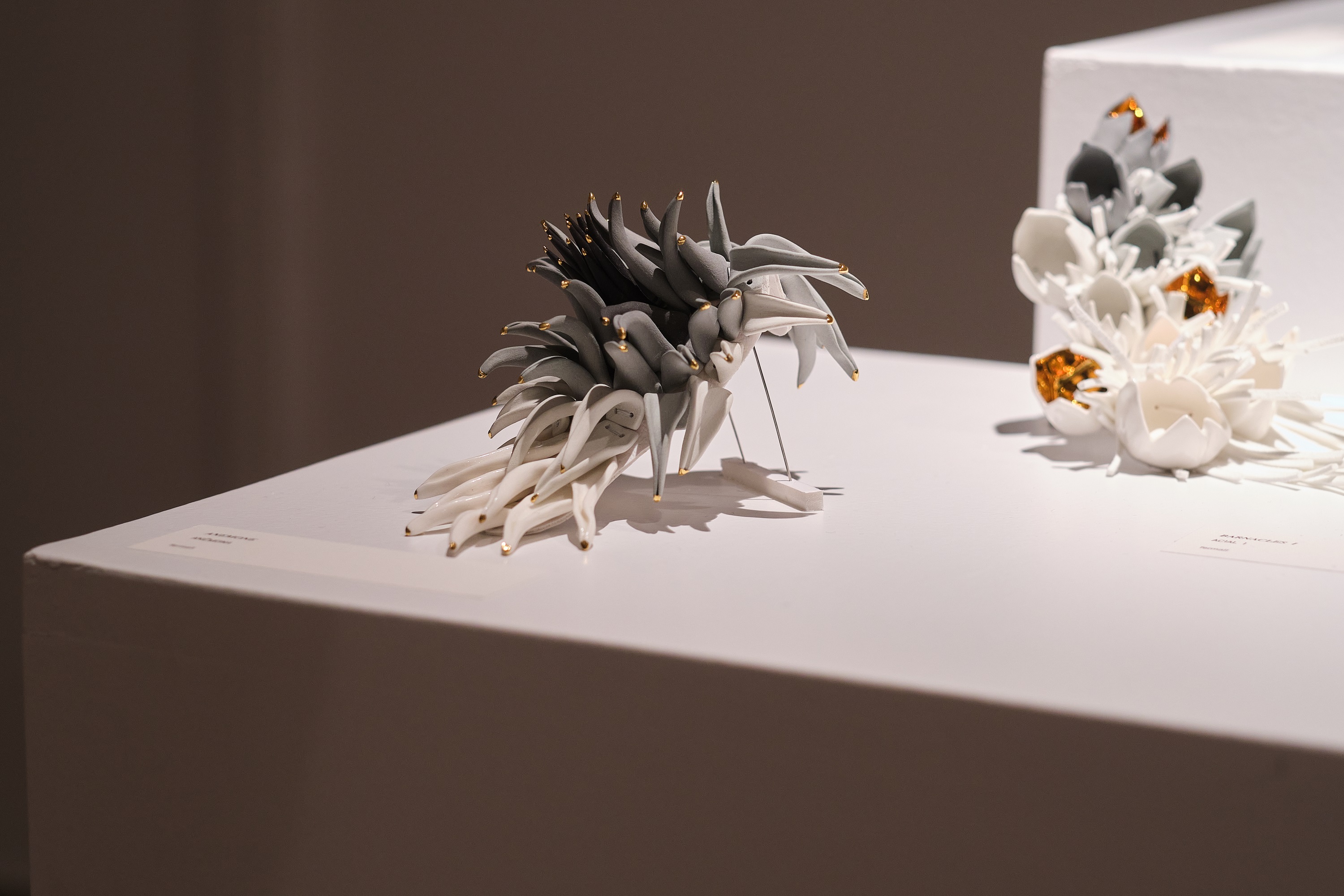 L’Escola d’Art de la Diputació a Tortosa reobre l’exposició de joieria artística ‘The garden of delights’ de la dissenyadora Raluca Buzura