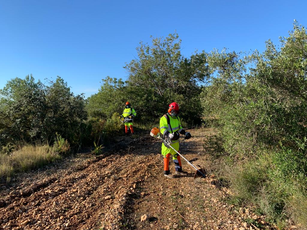 Un pla d'ocupació impulsat per la Diputació de Tarragona millora entorns naturals de la comarca del Tarragonès