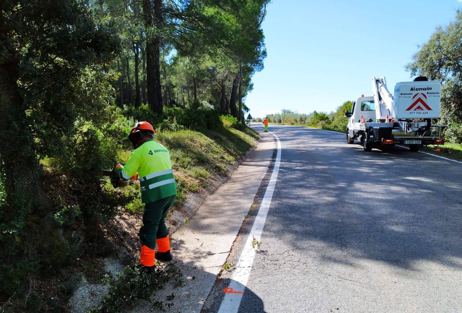 La Diputació de Tarragona realitza tasques de poda i tala en 108 quilòmetres de la seva xarxa viària per prevenir incendis