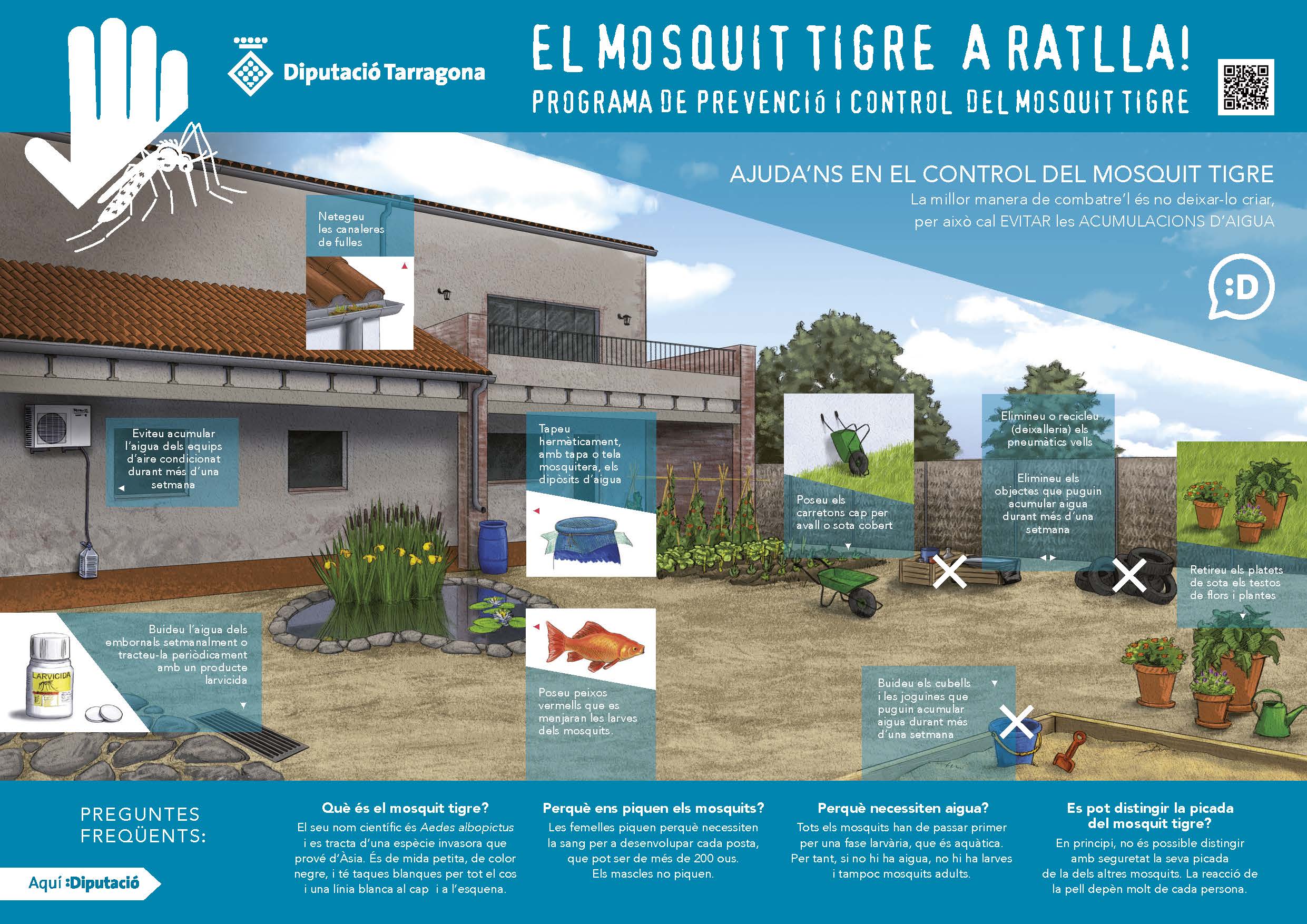 grafic mosquit tigre