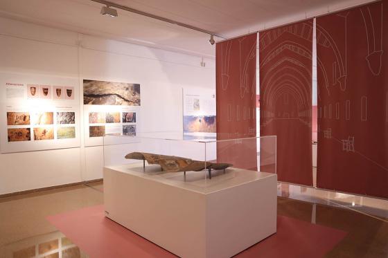 Exposició dels Pavesos a Tortosa