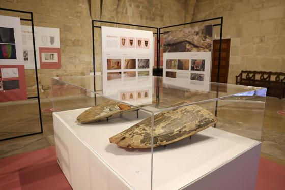 Exposició a Poblet