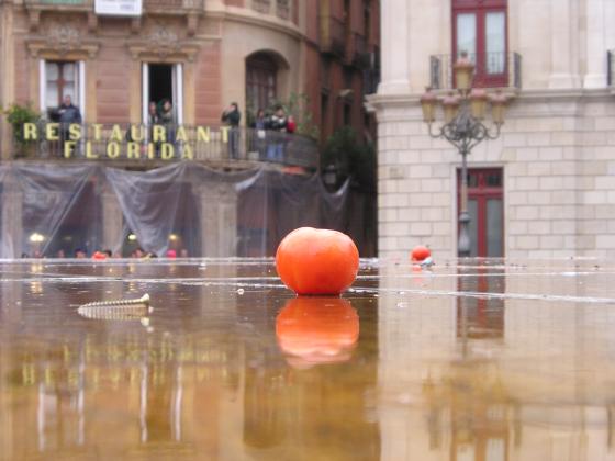 Carnaval de Reus. 2007