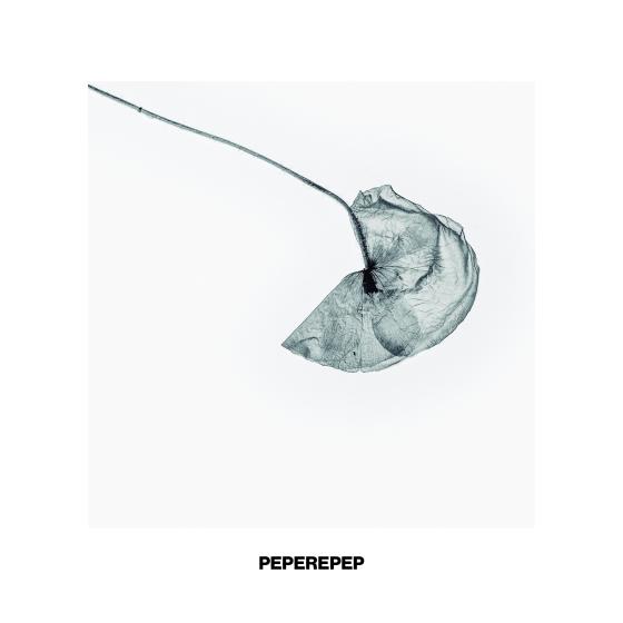 Inventari Terraplana. Pep Escoda