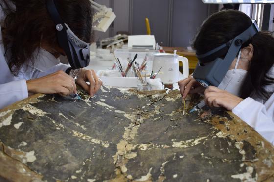 Metges del patrimoni, cirurgians del passat
