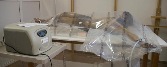 Procés de desinsectació per anòxia