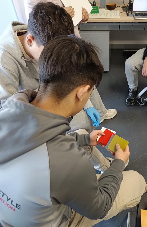 L'alumnat de 1r de batxillerat de l'INS CAMPCLAR realitzant l'activitat