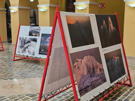 Exposició al Pati del Palau