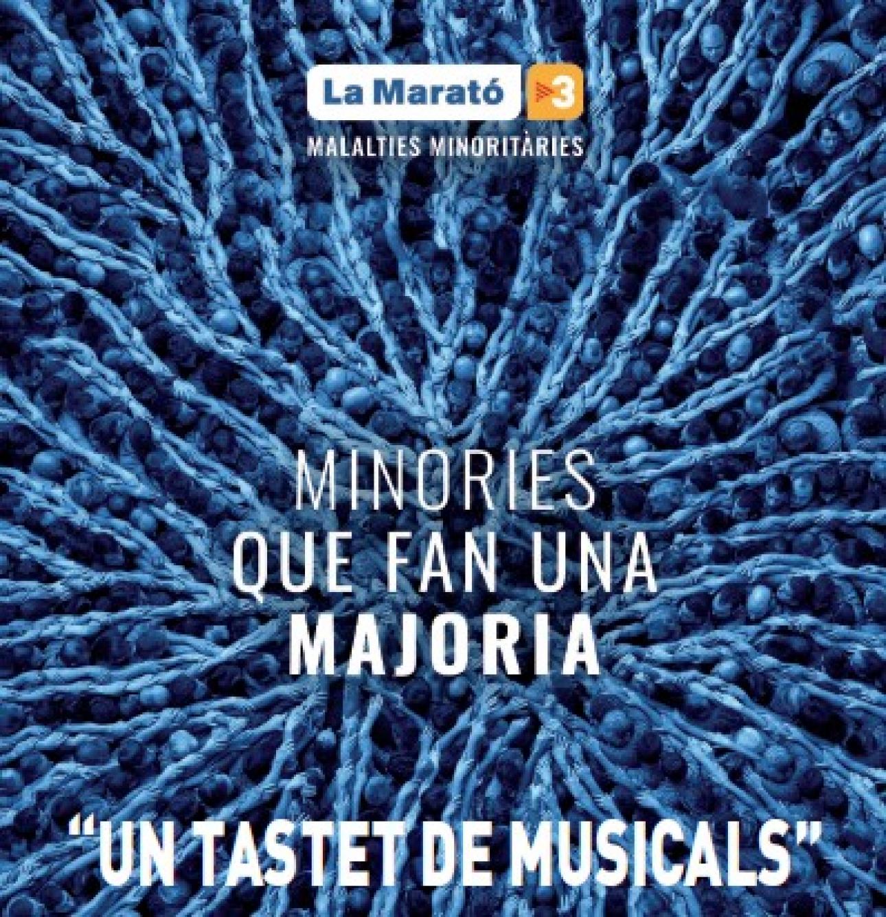 Concert dels Cors i la Banda de Grau Professional de l'ECMúsica de la Diputació a Reus per La Marató de TV3