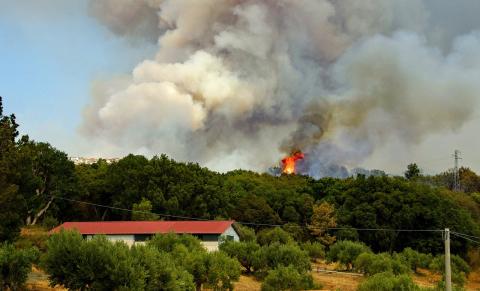 Foto incendi