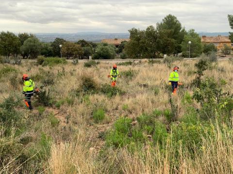 Dos plans d'ocupació impulsats per la Diputació de Tarragona milloren entorns naturals a les comarques de l’Alt Camp i la Conca de Barberà