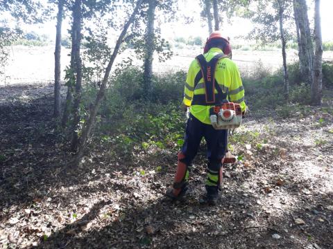 El Pla d'Ocupació de la Ribera d'Ebre ha millorat entorns naturals i urbans de tots els municipis de la comarca