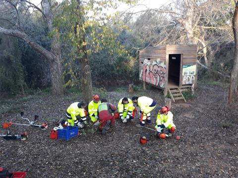 Dos plans d'ocupació impulsats per la Diputació de Tarragona milloren entorns naturals i urbans a les comarques del Baix Ebre i el Montsià
