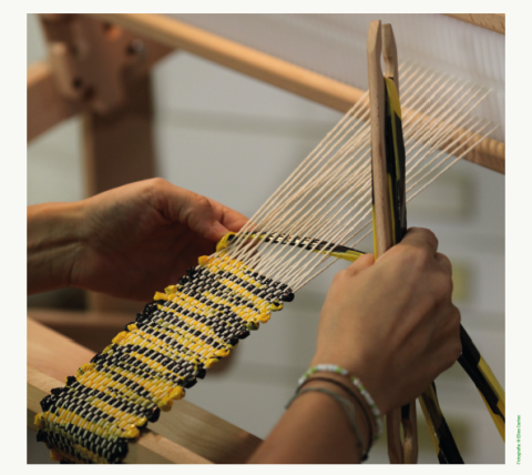 Fotografia: Elies Carles