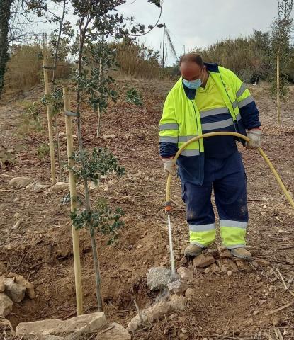 Les actuacions afavoreixen la inserció laboral