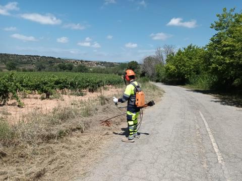 Actuació de neteja i adequació a Montferri