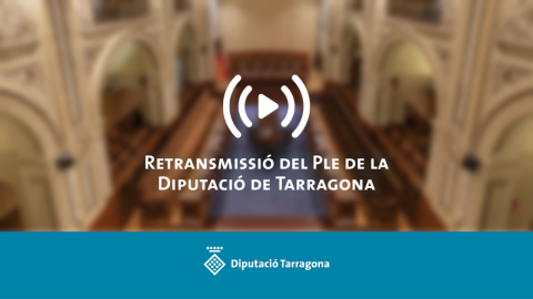 Retransmissió en directe del Ple ordinari de l'1 d'agost de 2025