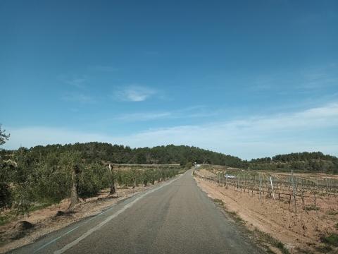 La T-3126, de Capçanes als Guiamets