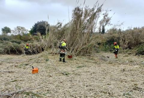 Impuls als centres especials de treball amb ajuts per a la conservació i millora d’espais naturals
