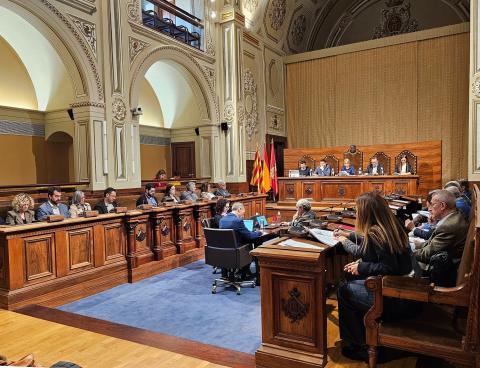 El Ple de la Diputació d’aquest dimarts ha aprovat el pressupost general de la Diputació de Tarragona i dels seus organismes autònoms per al 2025 per import de 222,4 M€