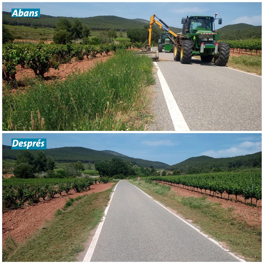 La carretera TV-2443 de Ramal a Vistabella abans i després dels treballs de sega