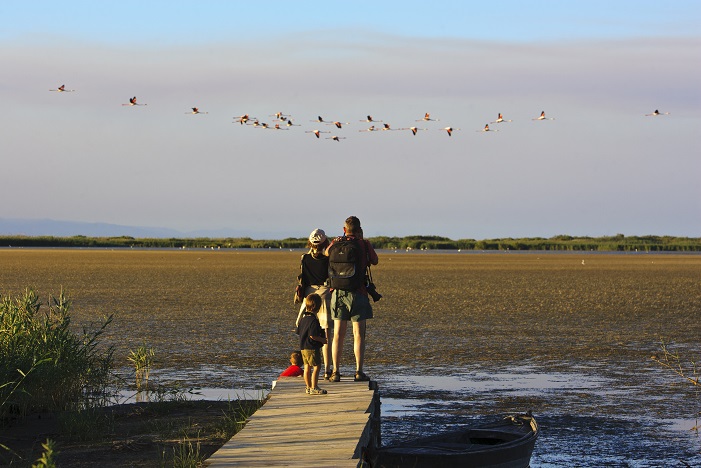 Parc Natural del Delta de l'Ebre