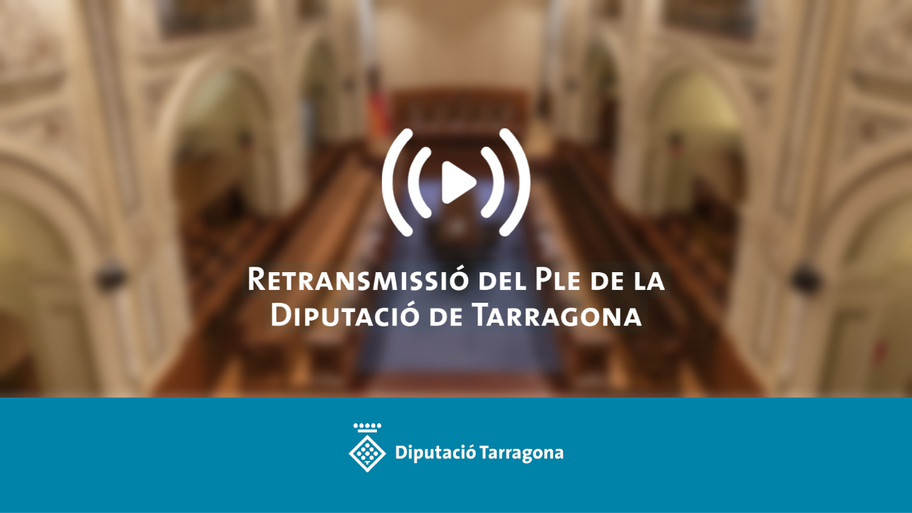 Retransmissió en directe del Ple ordinari de l'1 d'agost de 2025