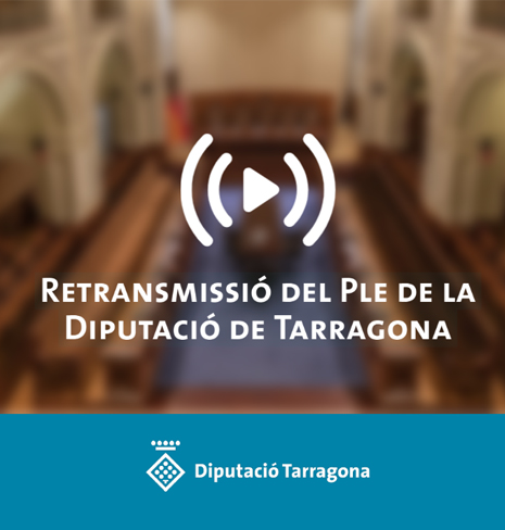 Retransmissió del Ple de la Diputació