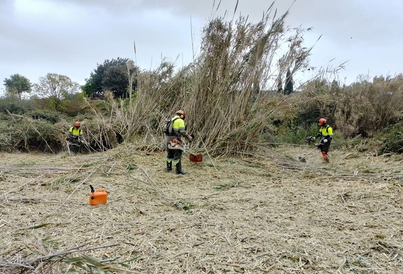 Impuls als centres especials de treball amb ajuts per a la conservació i millora d’espais naturals