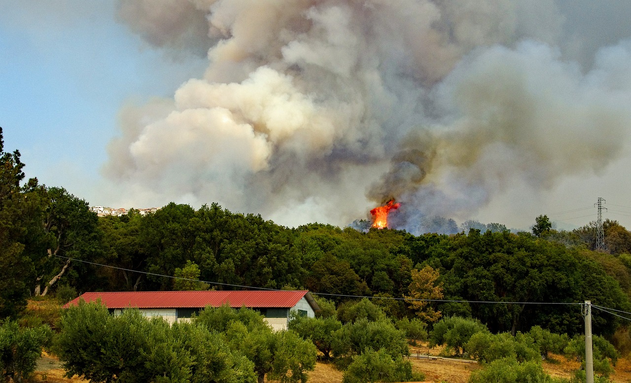 Les agrupacions de defensa forestal poden sol·licitar els ajuts de la Diputació per a actuacions de prevenció d’incendis