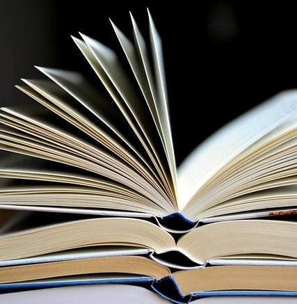 La Diputació de Tarragona concedeix 300.000€ per a la promoció i difusió