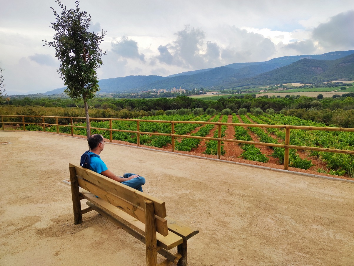 Panoràmica de Poblet des del nou mirador